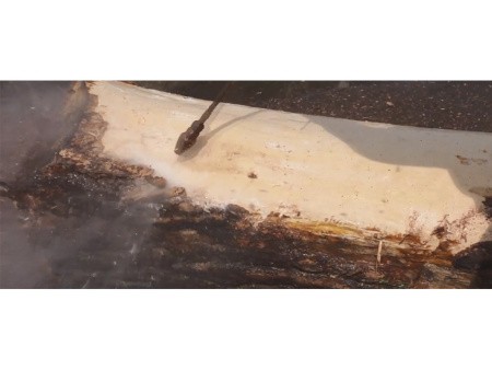 OERTZEN Mobil 500 АВД, ошкуривание бревна